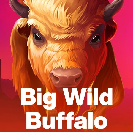 Big Wild Buffalo_logo