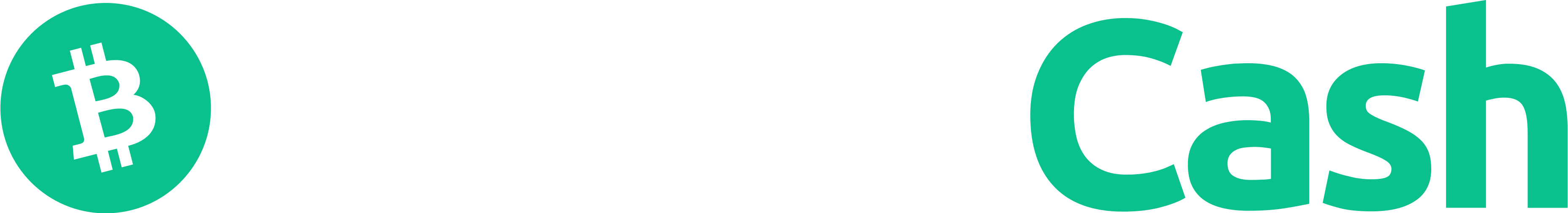 Bitcoin Cash _logo