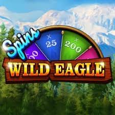 Wild Eagle Spins_logo